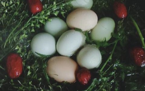 三月三吃鸡蛋的由来 三月三吃鸡蛋的由来和风俗是什么